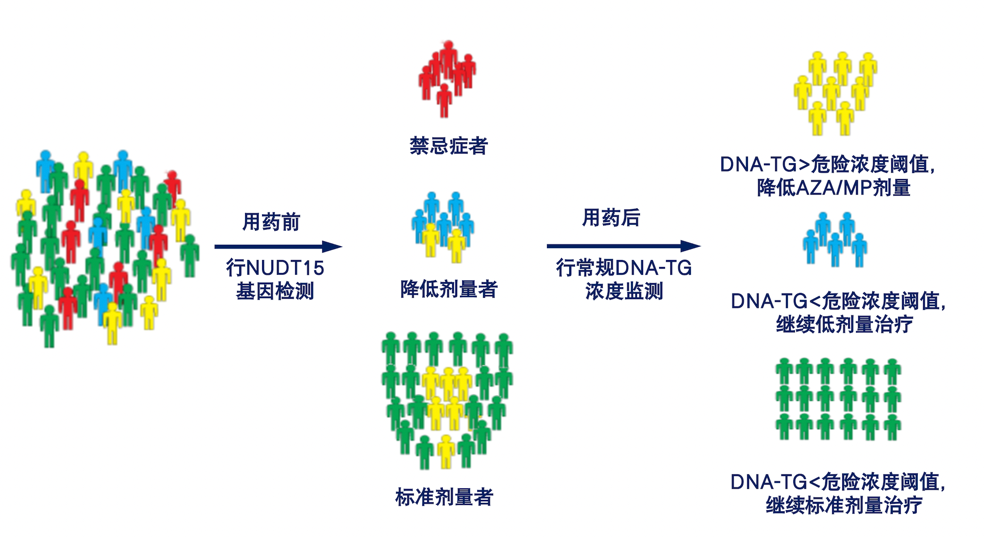 我院黄民/王雪丁教授课题组个体化用药研究取得重要进展